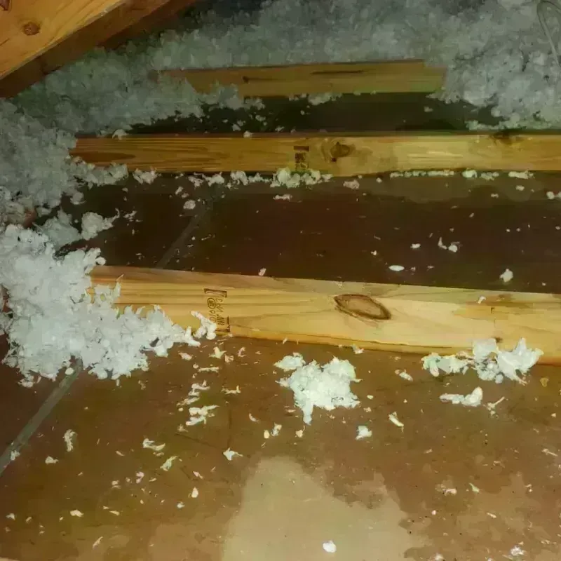 Attic Water Damage in Harrisville, UT